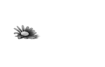 sedigas_logo_cliente